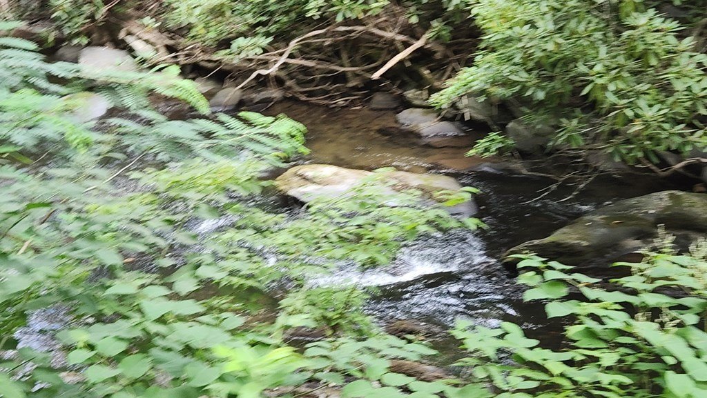 Picture 3