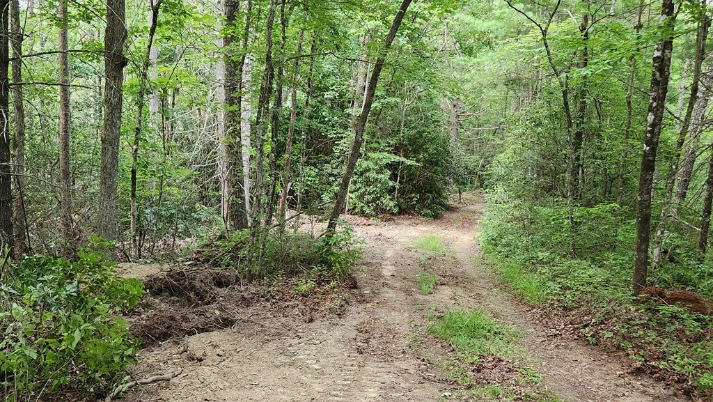 Picture 53