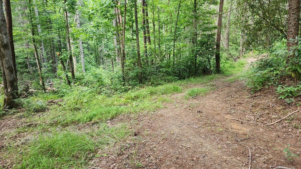 Picture 21