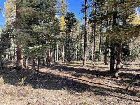 Land, Angel Fire, NM