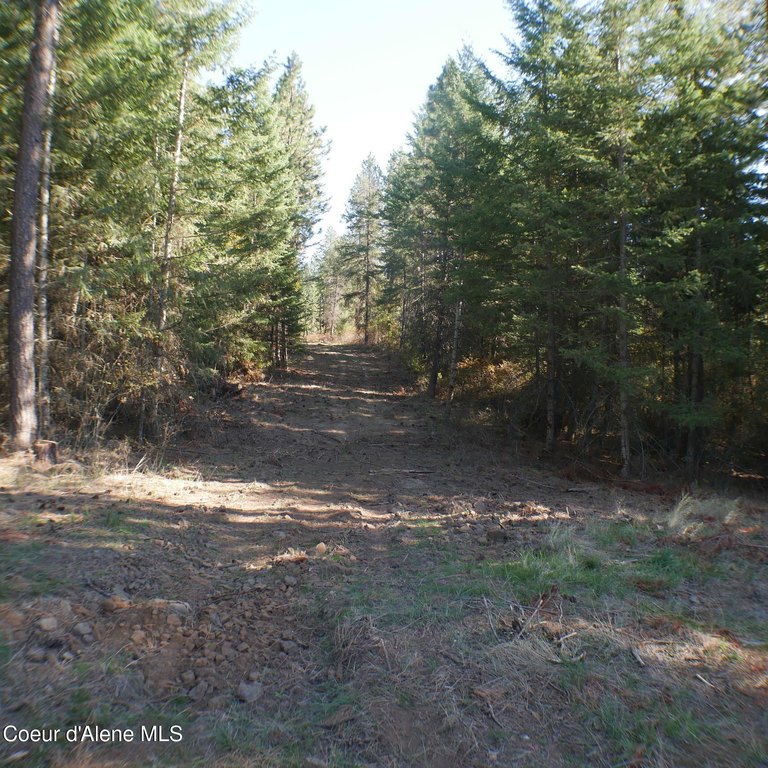 Picture 7