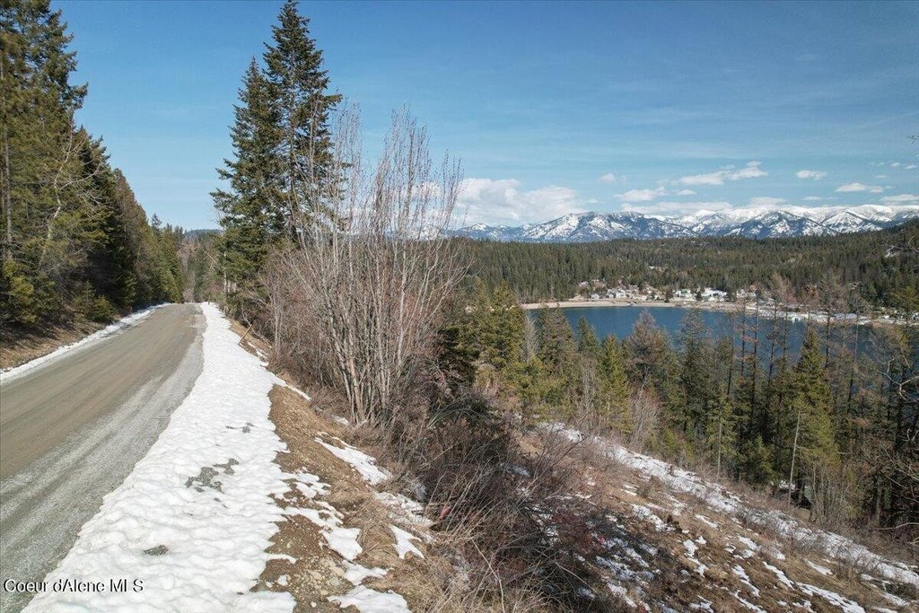Picture 48