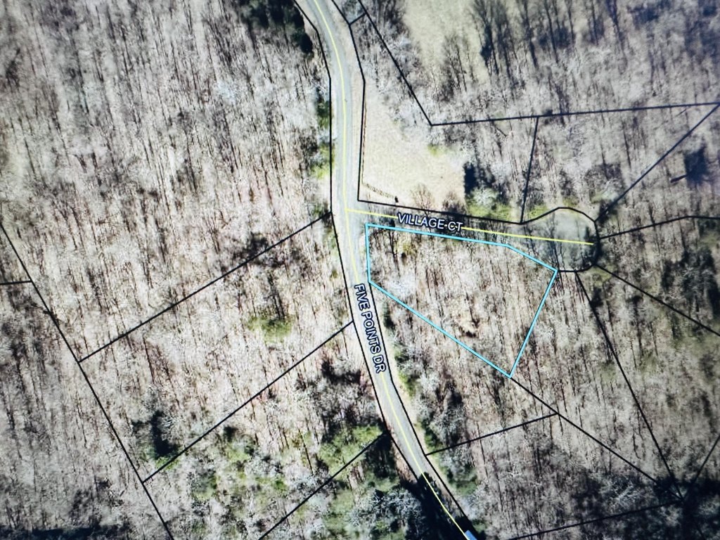 Picture 2