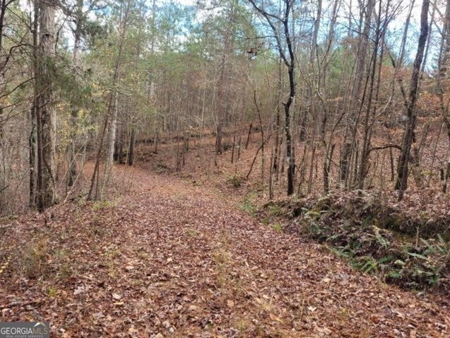 Picture 2