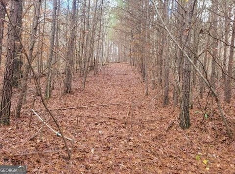 LAND - Ellijay, GA