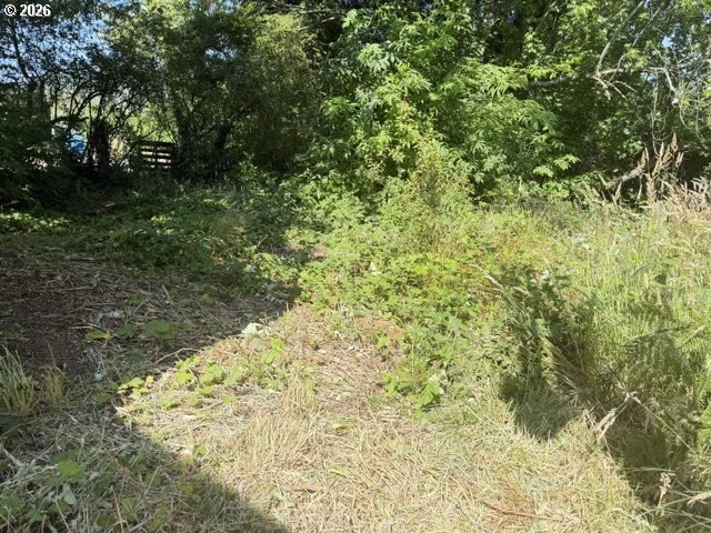 Picture 8