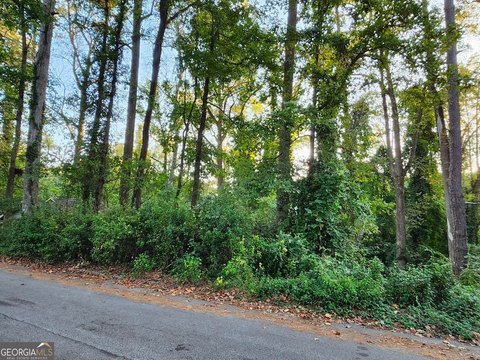 Pine Lake Building Lot