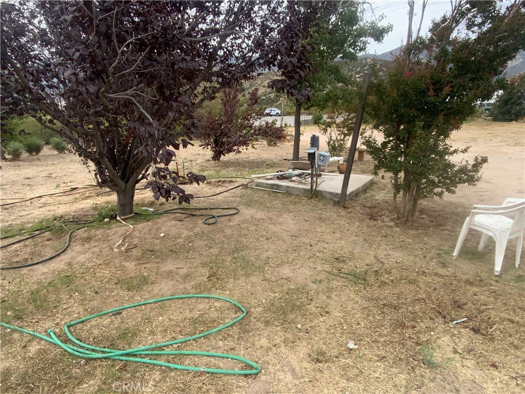 Picture 12