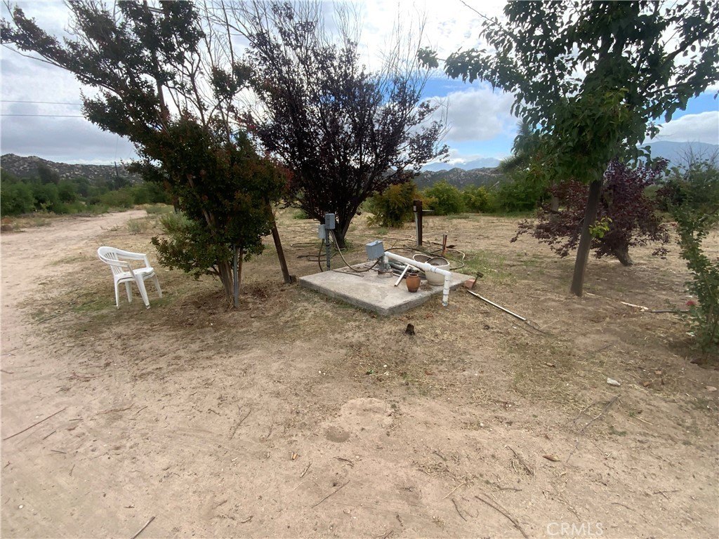 Picture 11