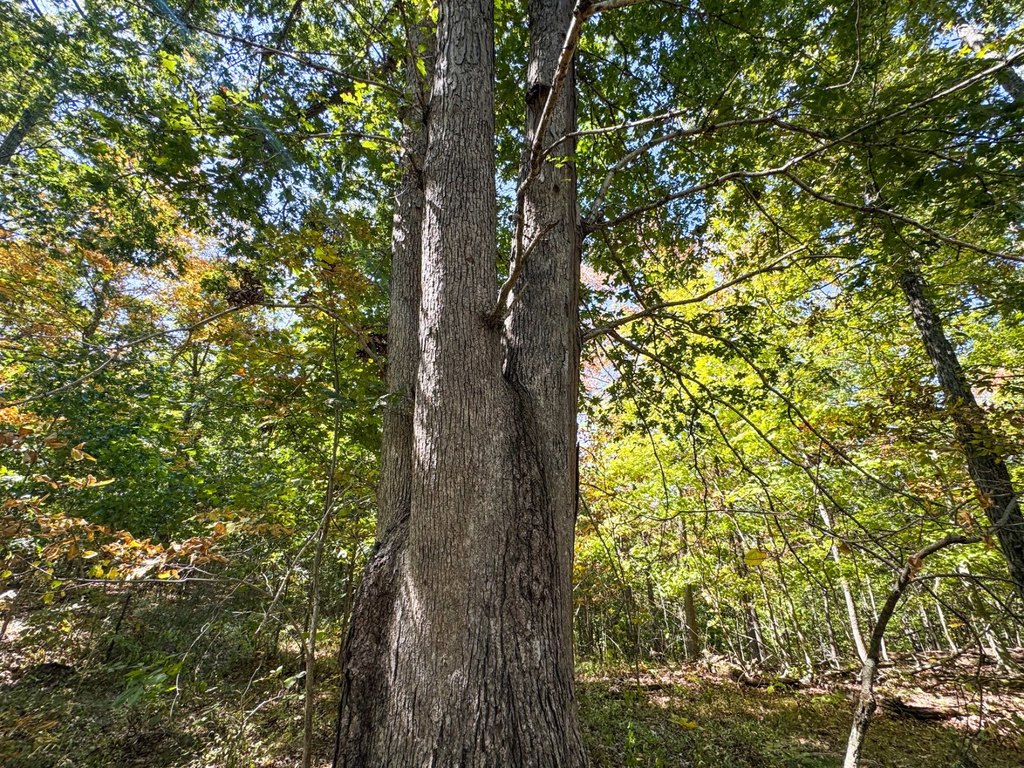 Picture 47