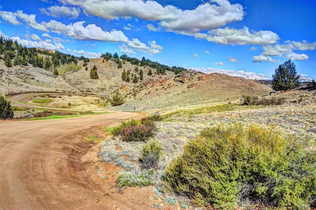 Picture 7