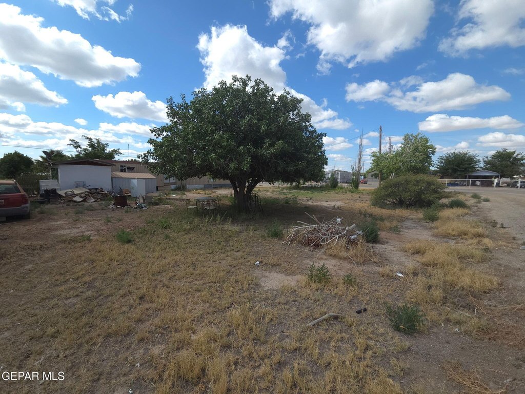 Picture 9