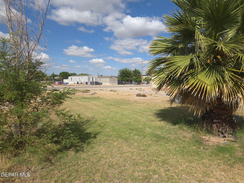 Picture 4