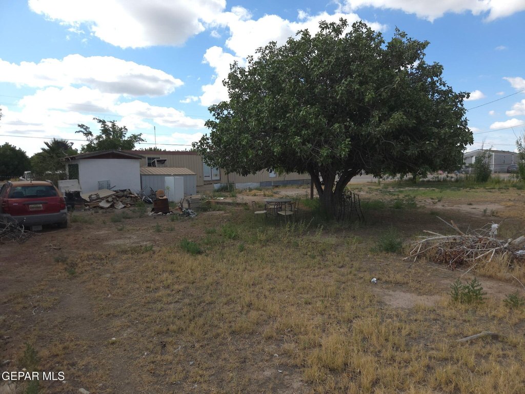 Picture 3