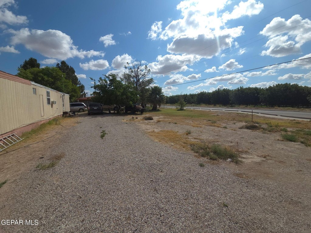 Picture 6