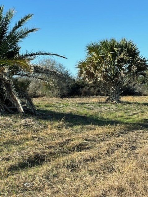 Picture 16