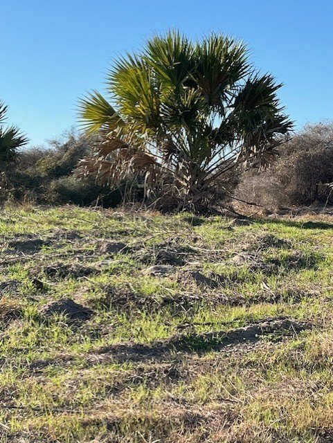 Picture 17