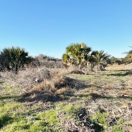 Picture 15