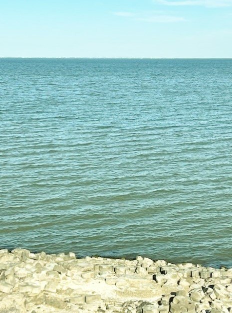 Picture 21