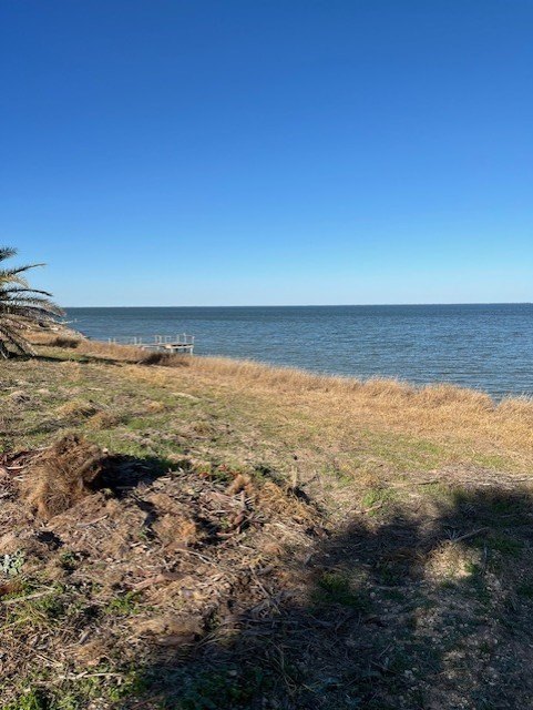 Picture 20
