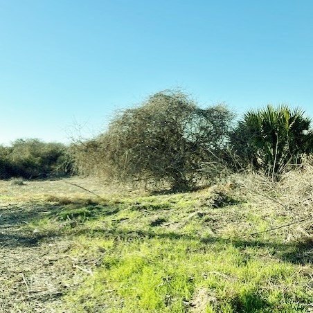 Picture 18