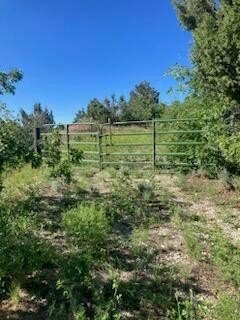 Recreational Land with Installed Utilities