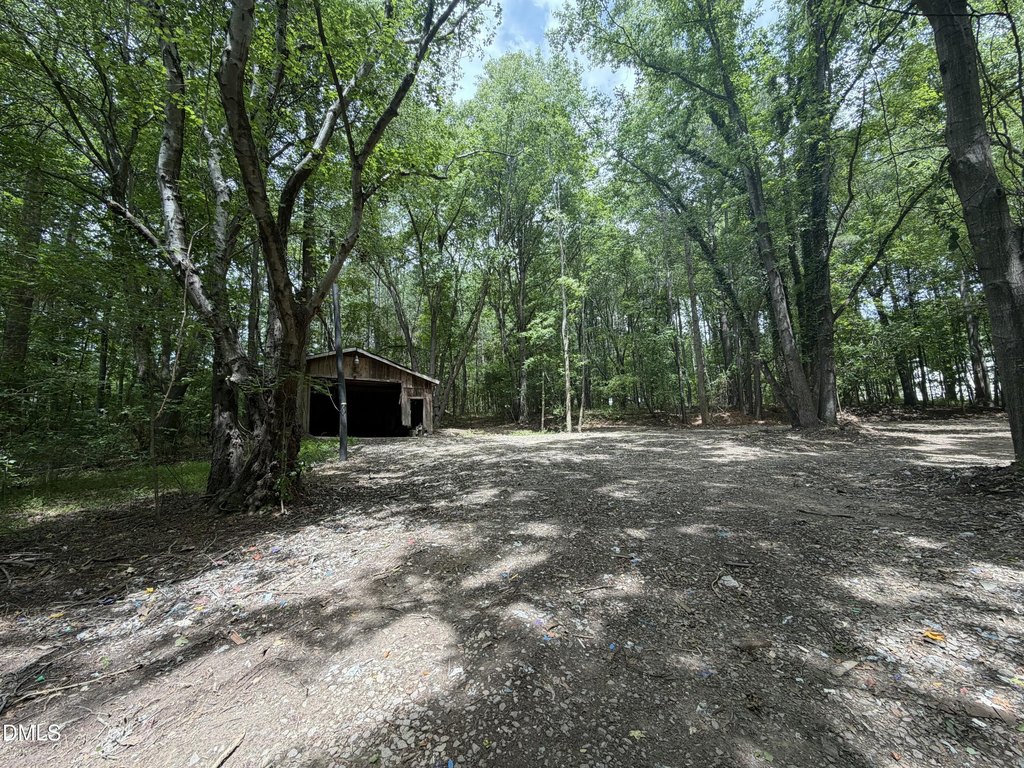 Picture 21