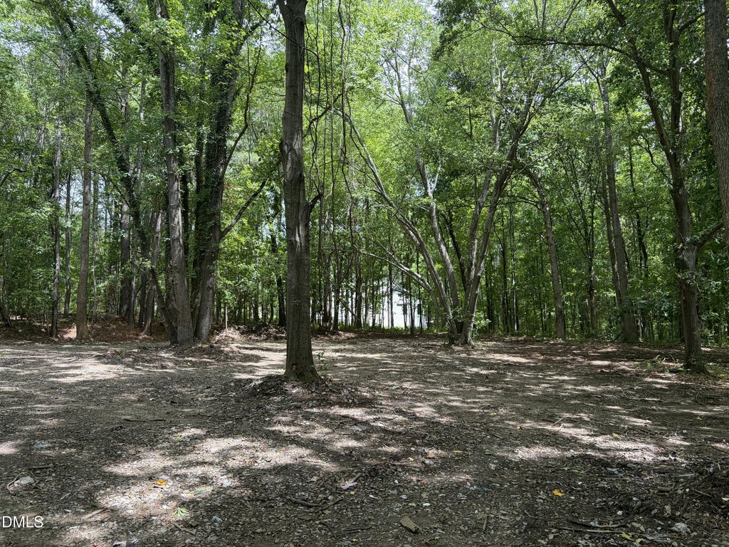 Picture 23