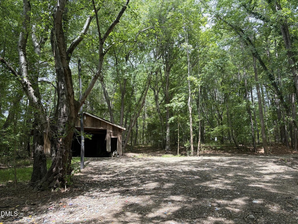 Picture 19