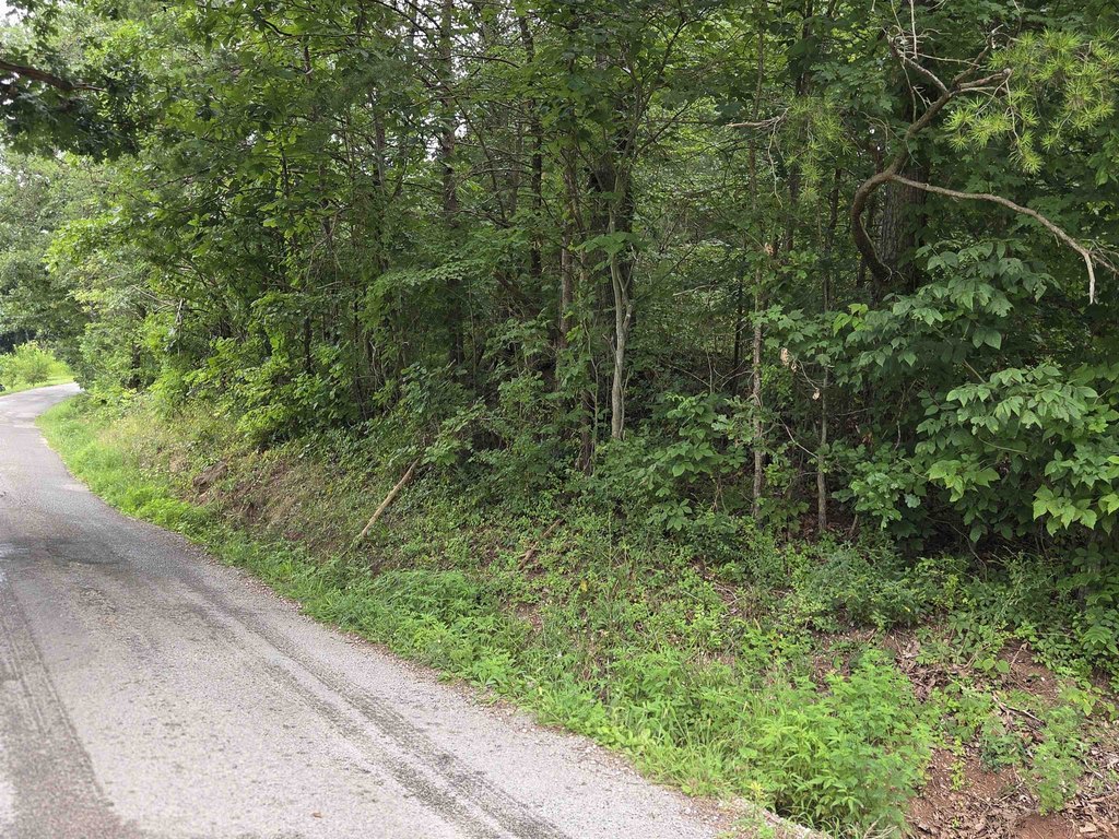 Picture 2