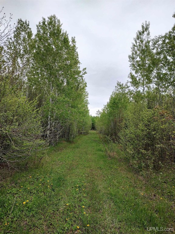 Picture 25