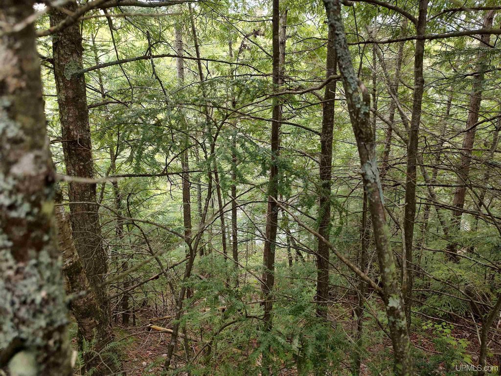 Picture 19