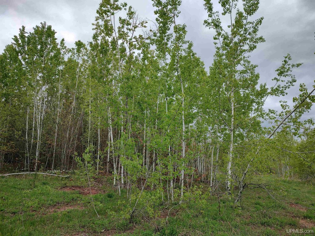 Picture 23