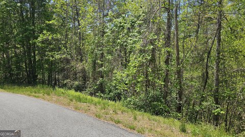 Wooded Land in Mountain Creek