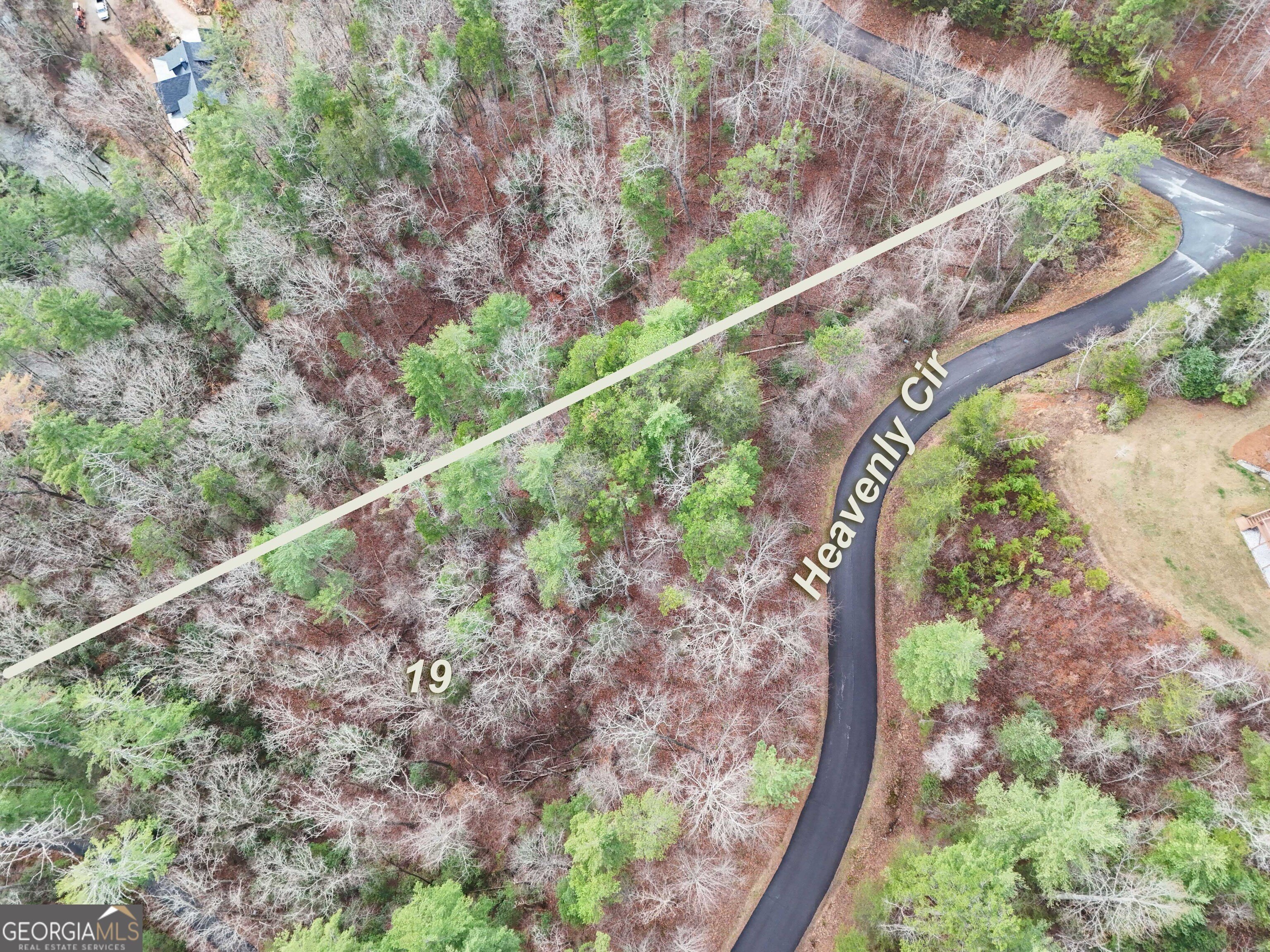 Wooded Land in Mountain Creek