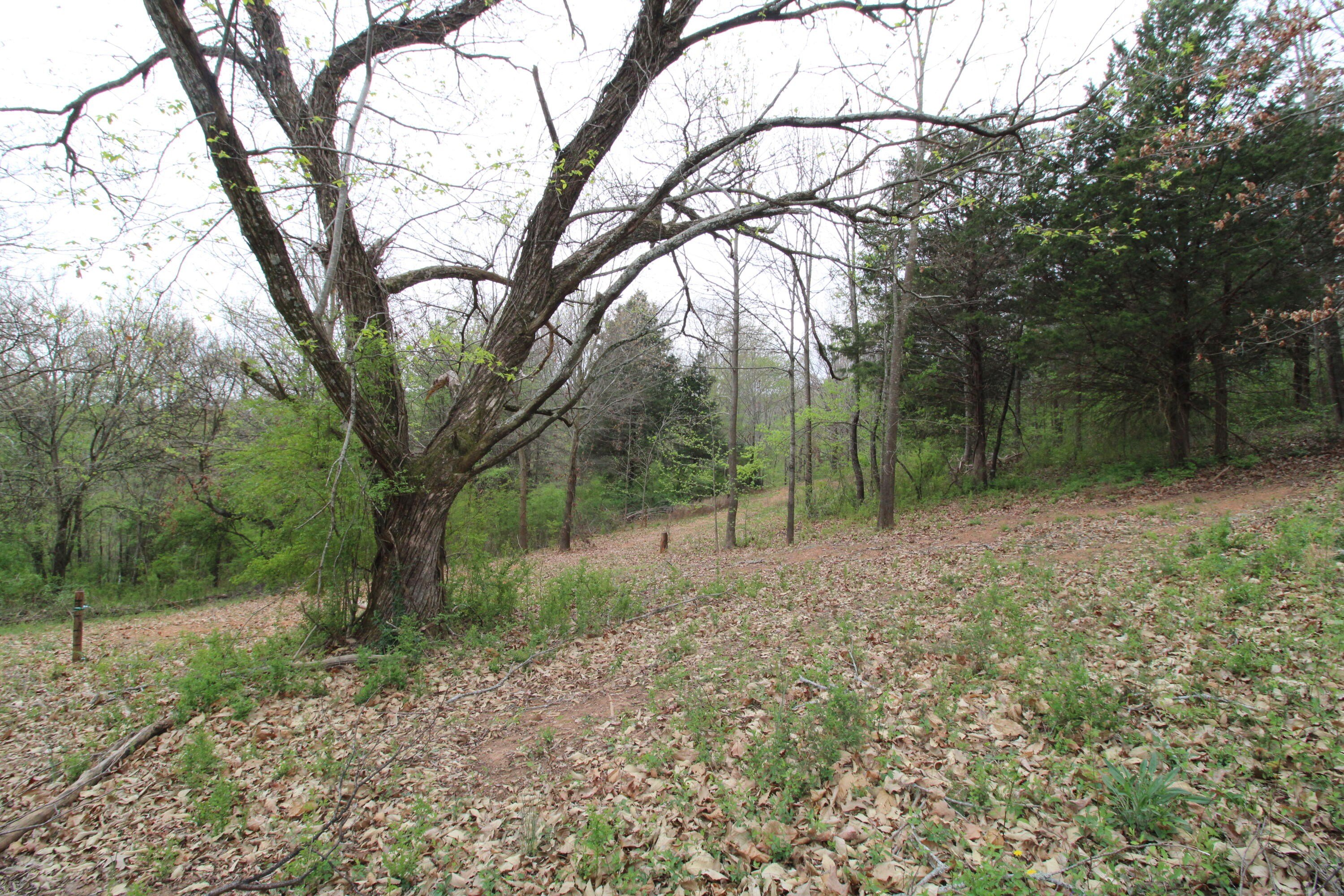 Residential Lot in Hixson, TN
