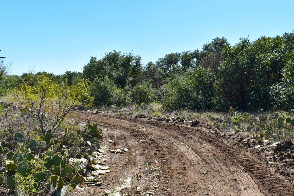 Picture 11