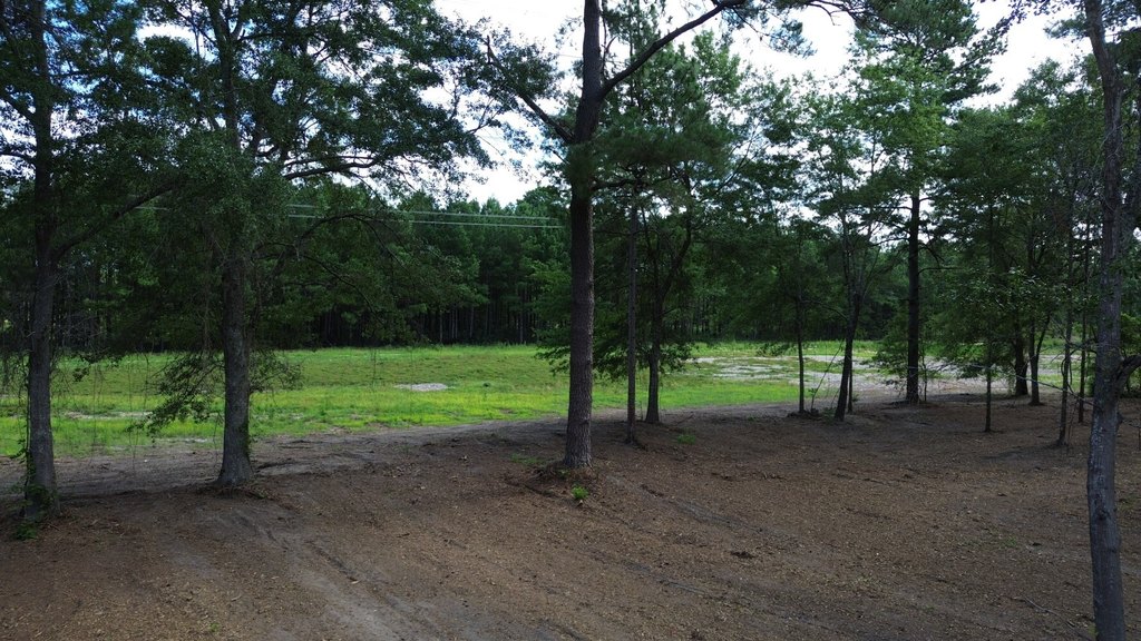 Picture 9