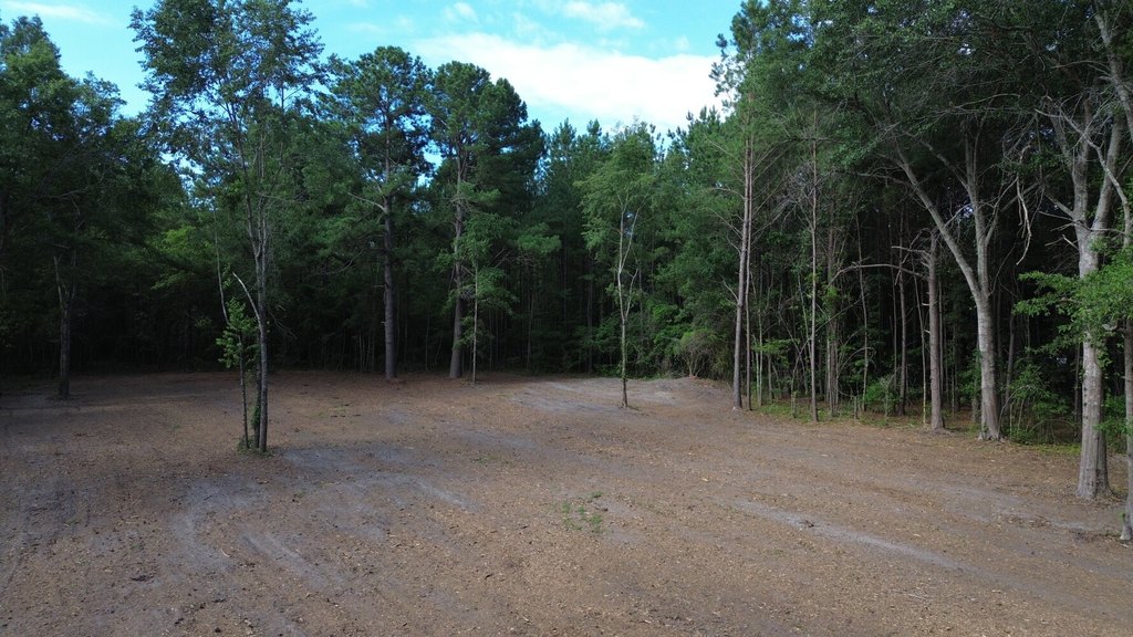 Picture 8