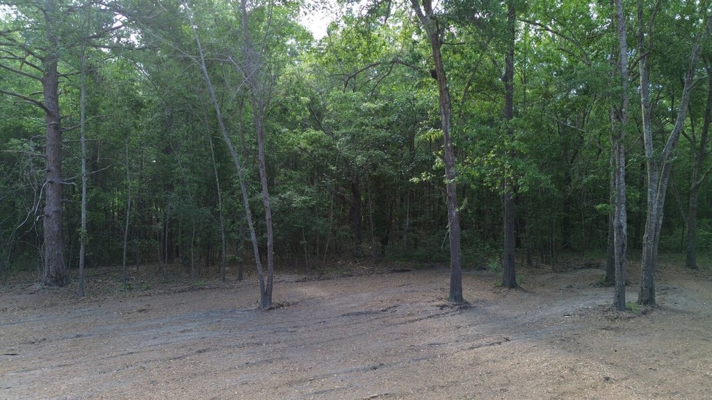 Picture 11