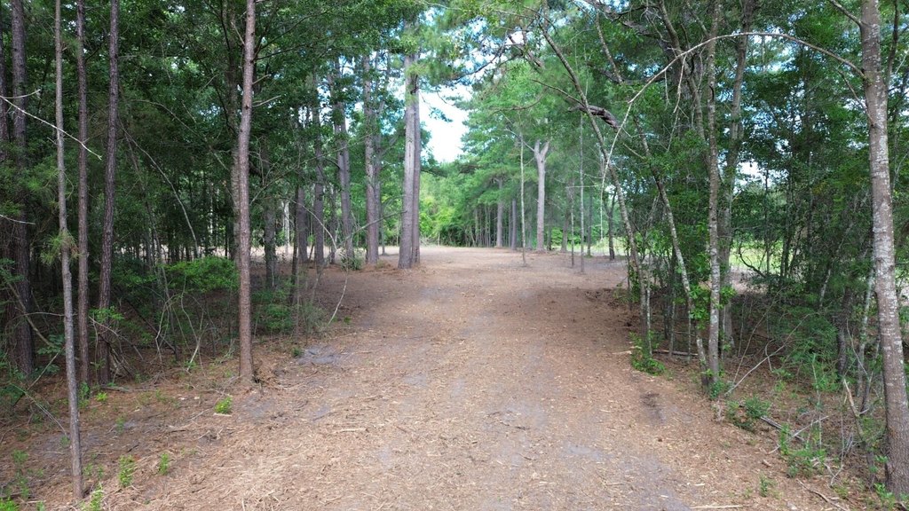 Picture 3