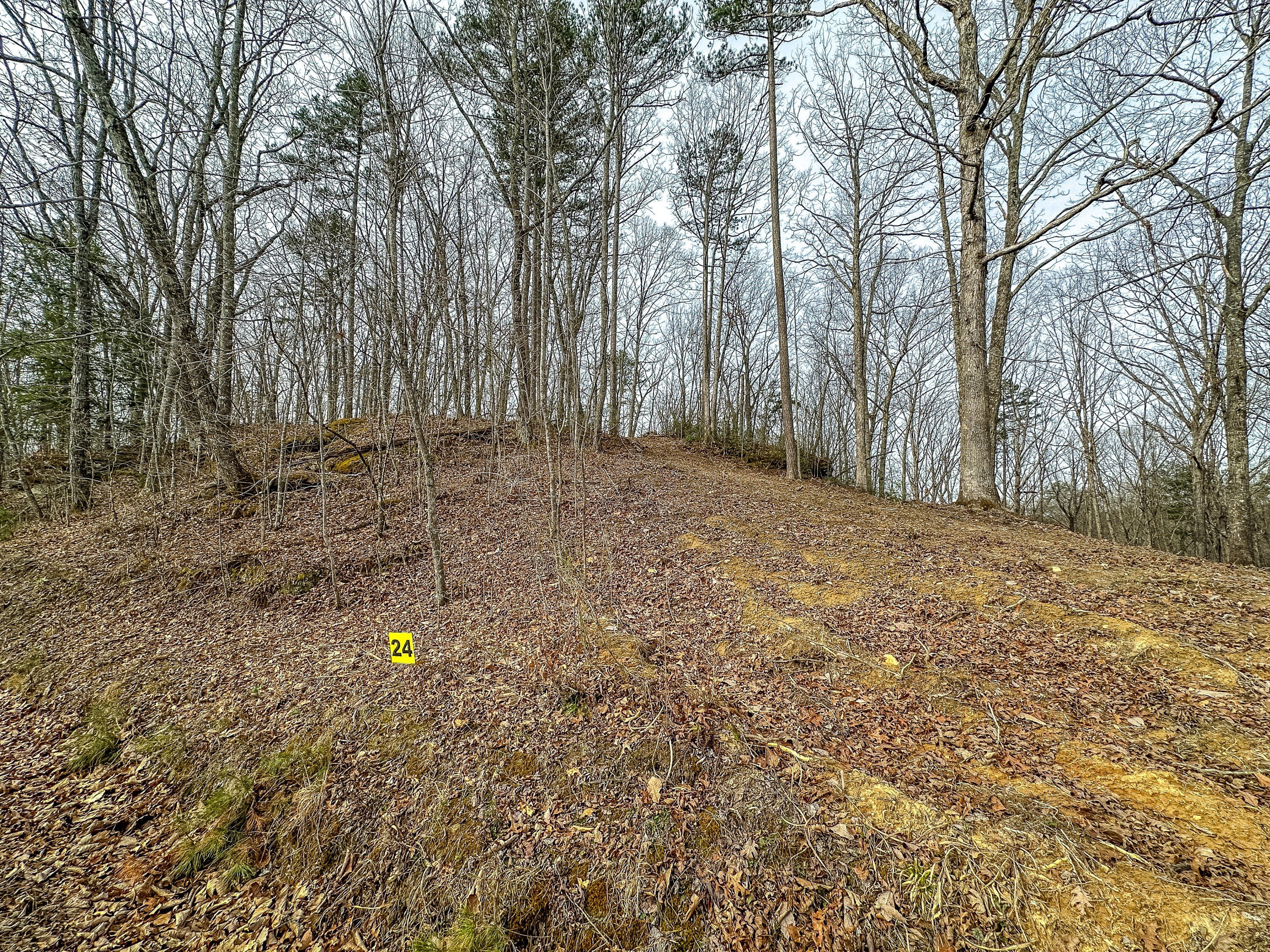 Versatile Acreage in East Bernstadt
