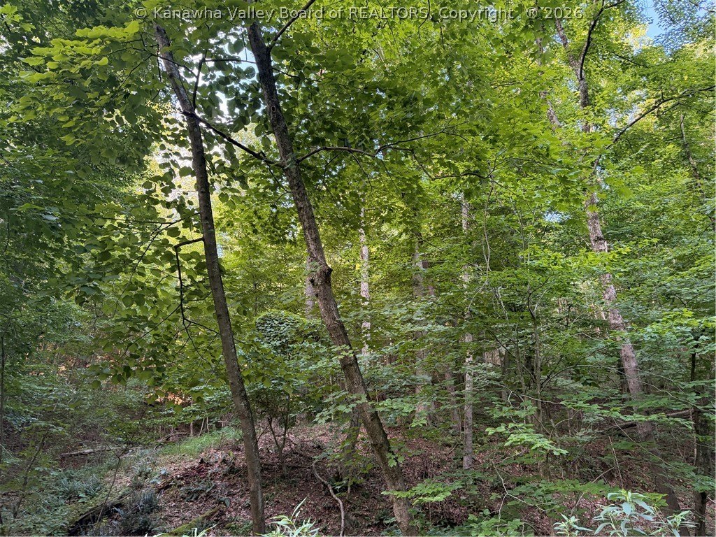 Picture 14