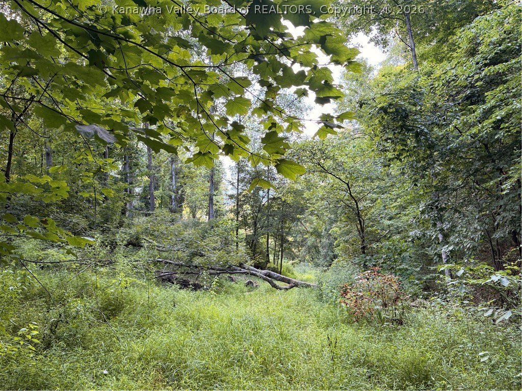 Picture 22