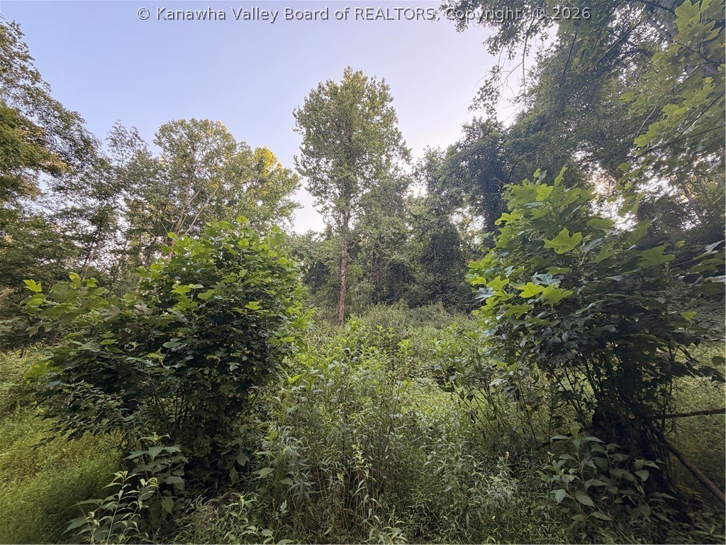 Picture 13