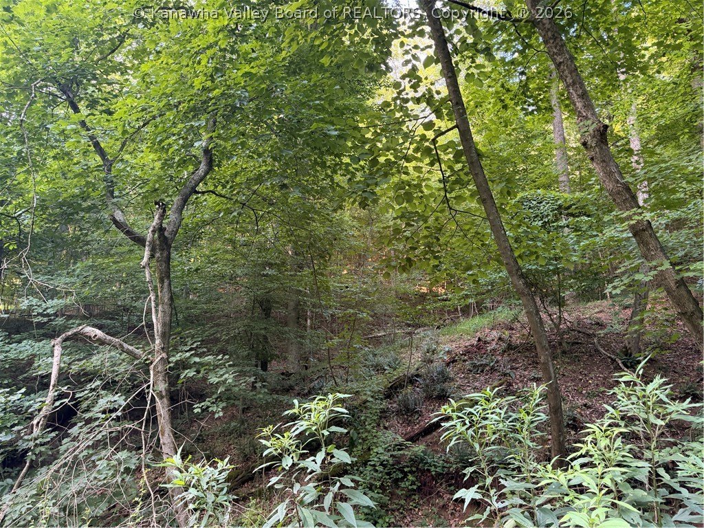 Picture 15