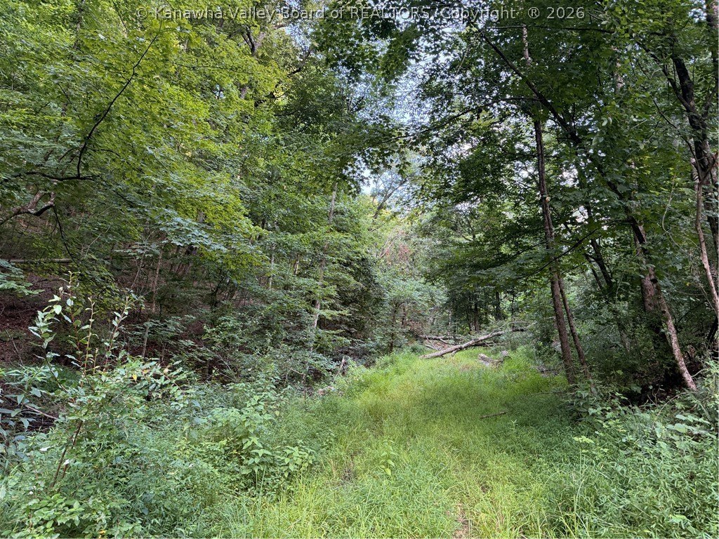 Picture 16