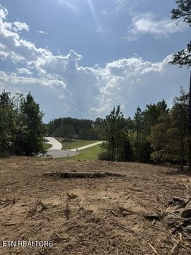 Lots & Acreage, Greenback, TN