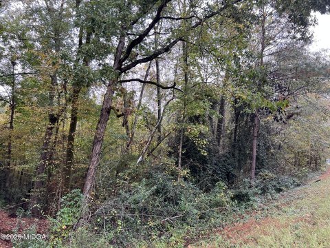 Residential Land in Gray, GA