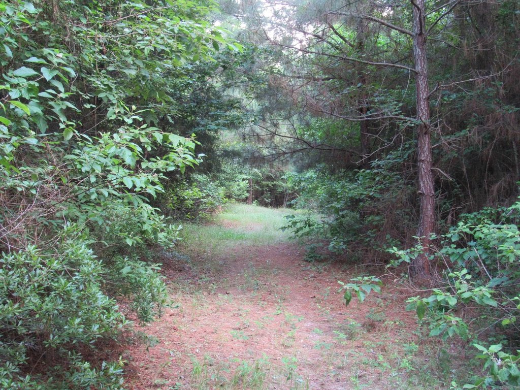 Picture 25